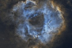 2023-02-Rosette-2024-07-HOO